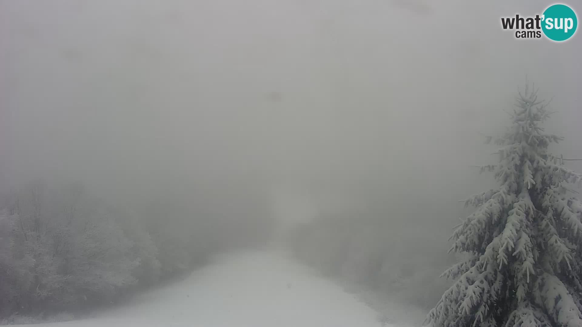 Webcam Japetić Live cam Jastrebarsko