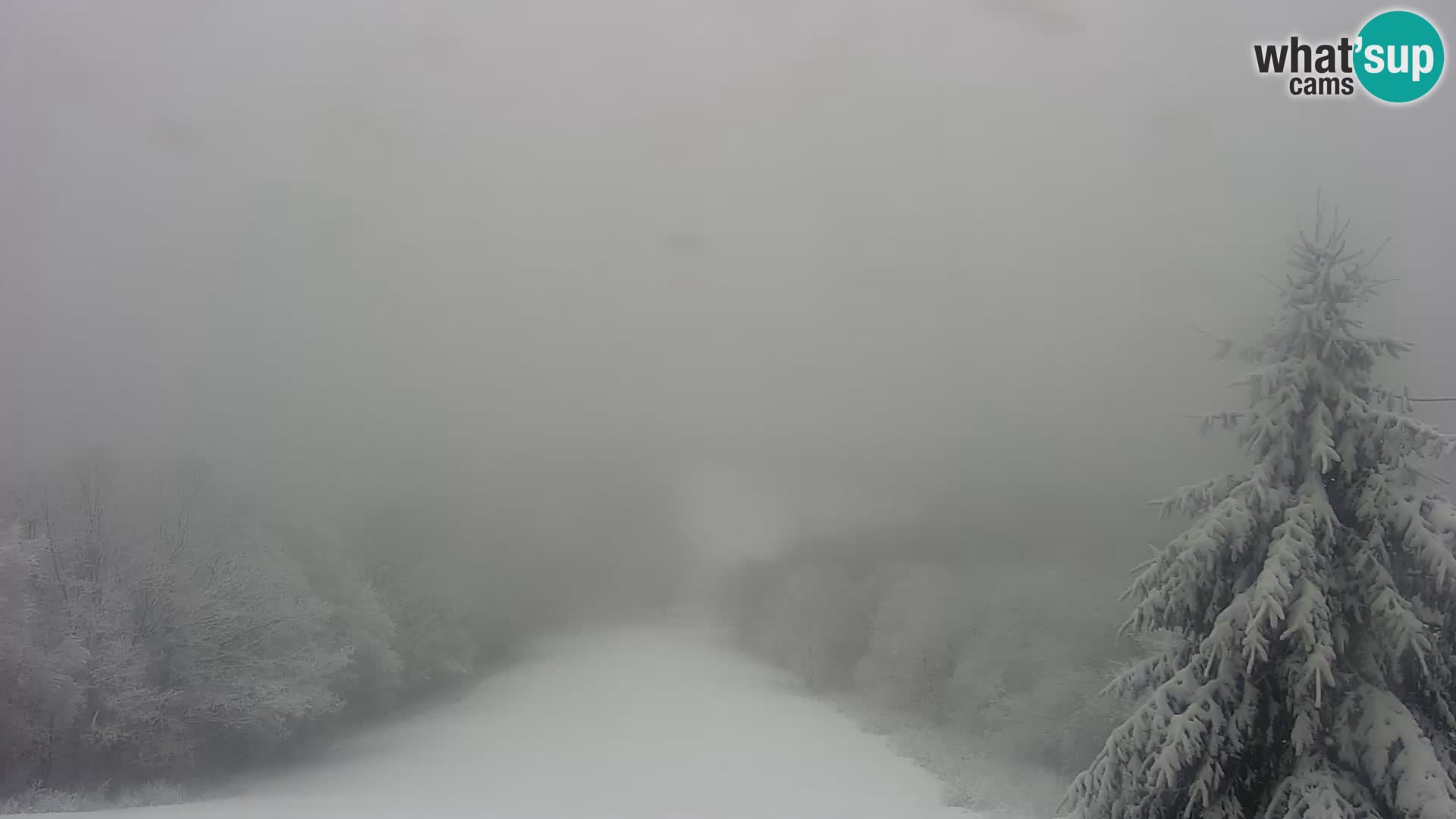 Livecam Japetić webcam Jastrebarsko