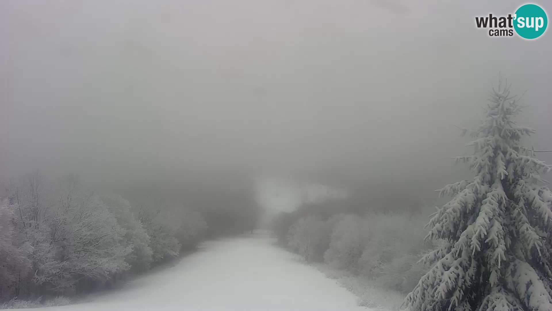 Webcam Japetić Live cam Jastrebarsko