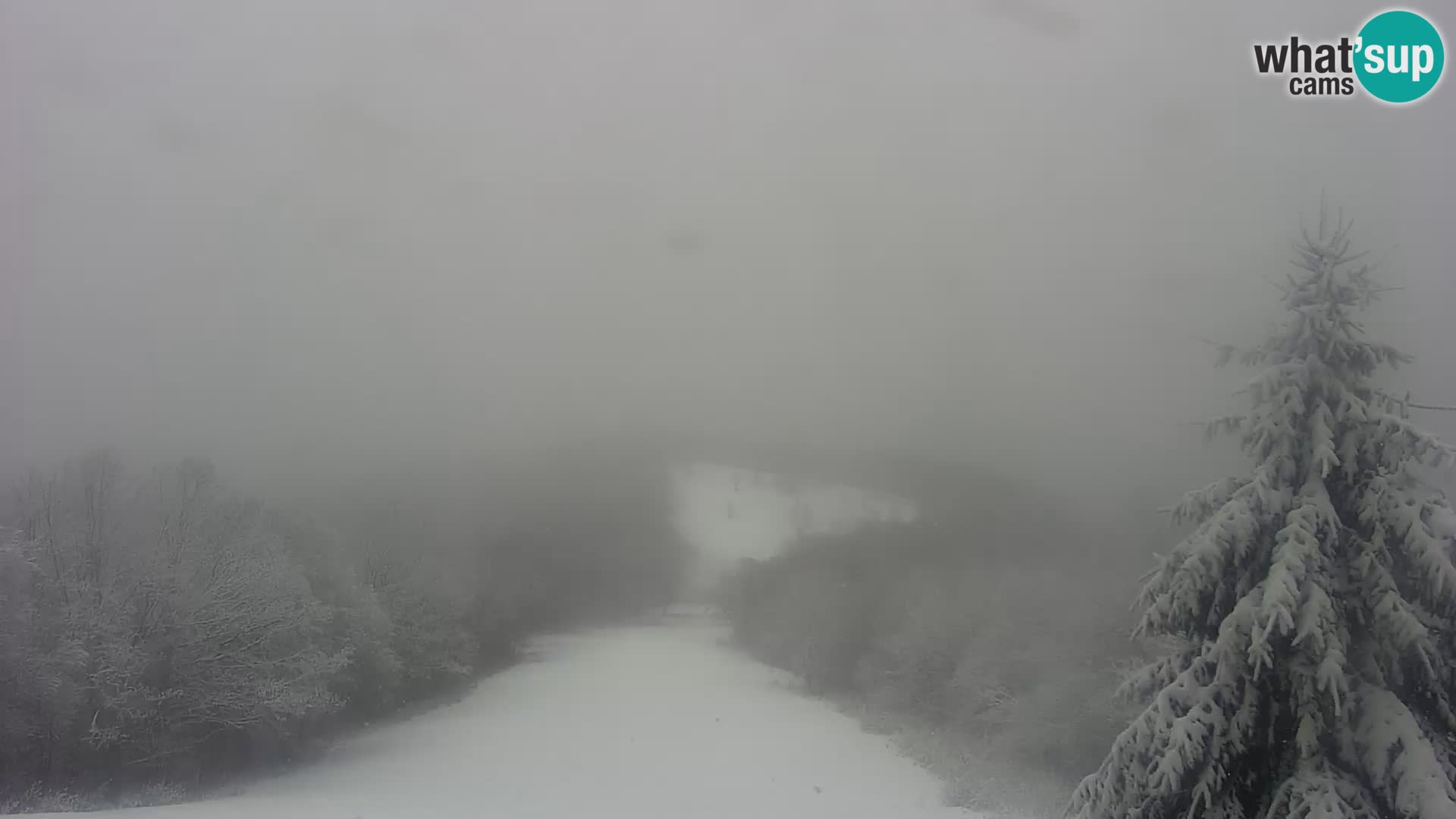 Livecam Japetić webcam Jastrebarsko