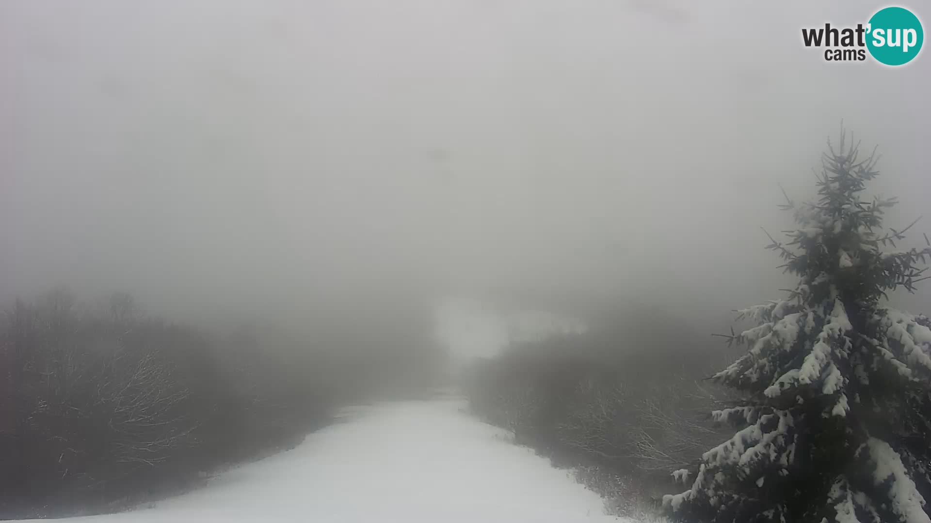 Webcam Japetić – Jastrebarsko