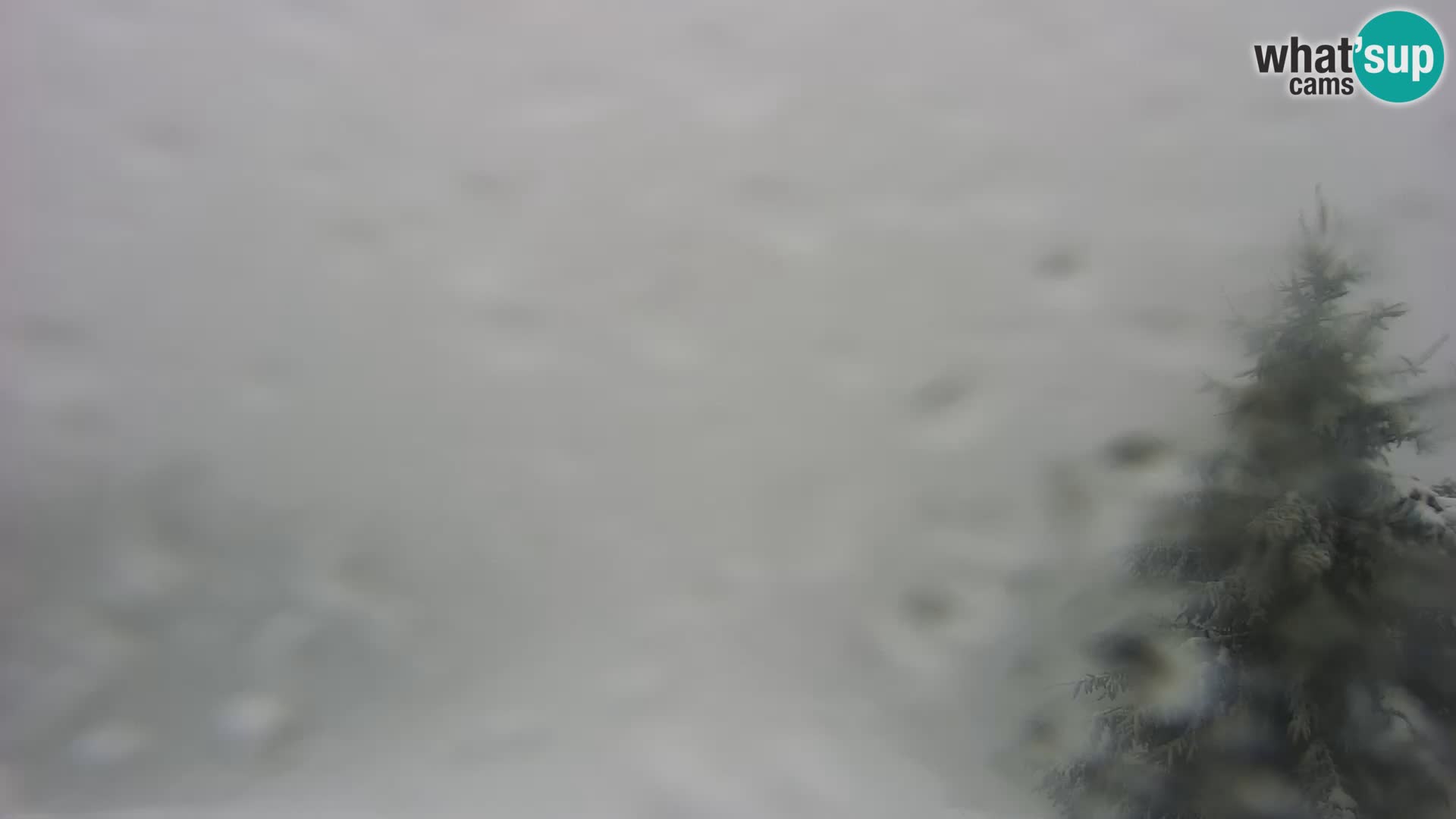 Livecam Japetić webcam Jastrebarsko