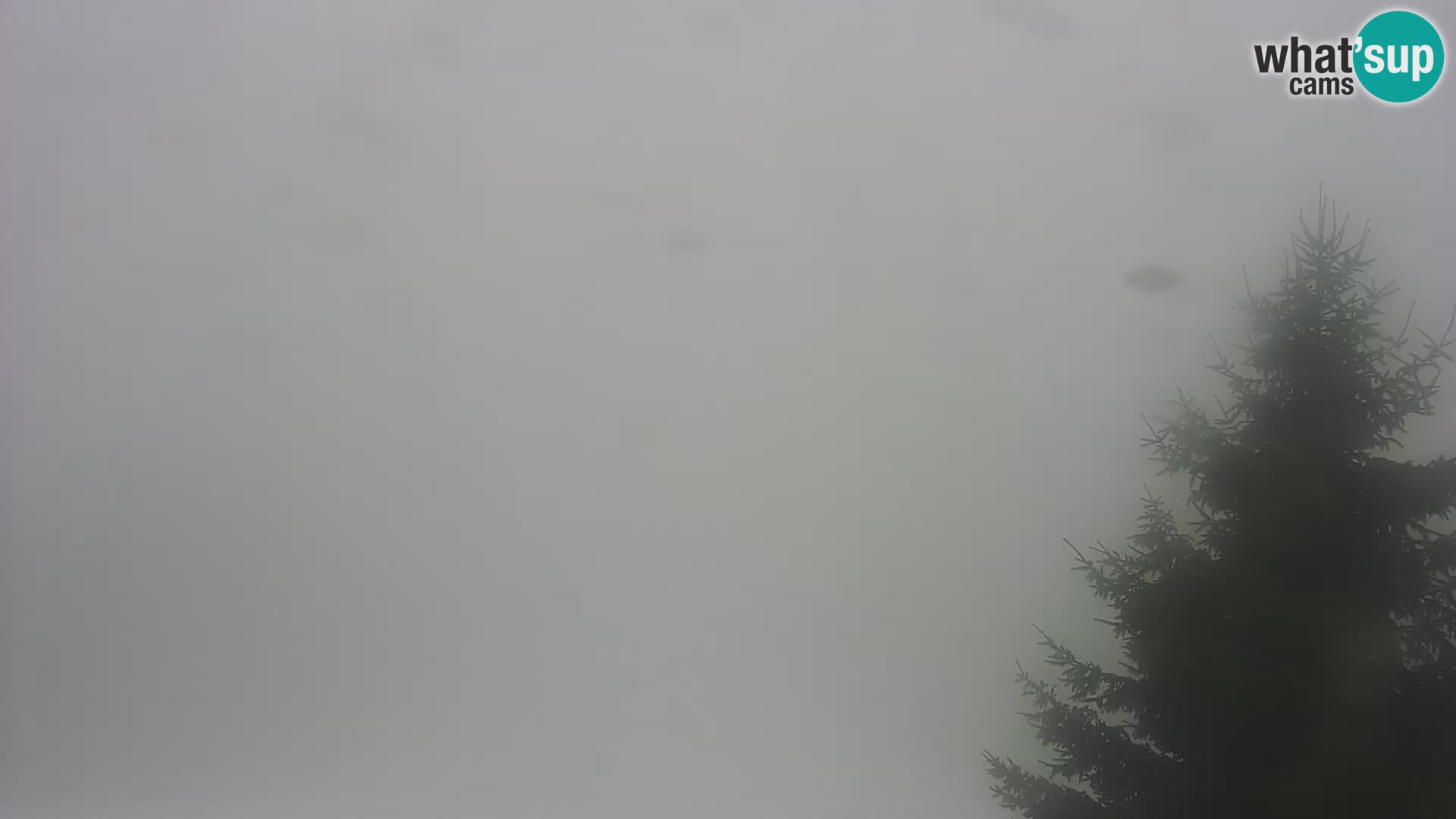 Live cam Japetić – Jastrebarsko