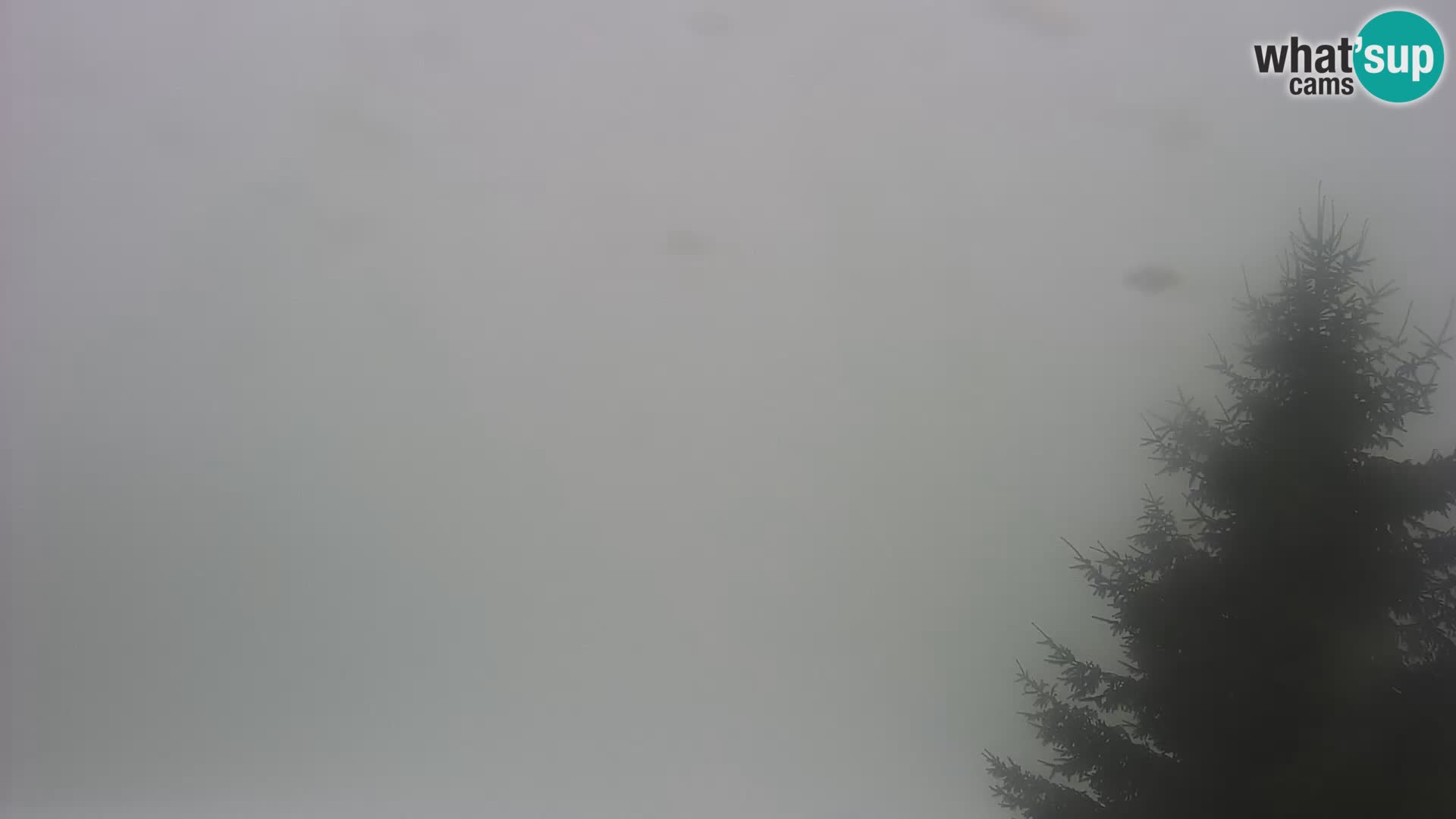 Livecam Japetić webcam Jastrebarsko