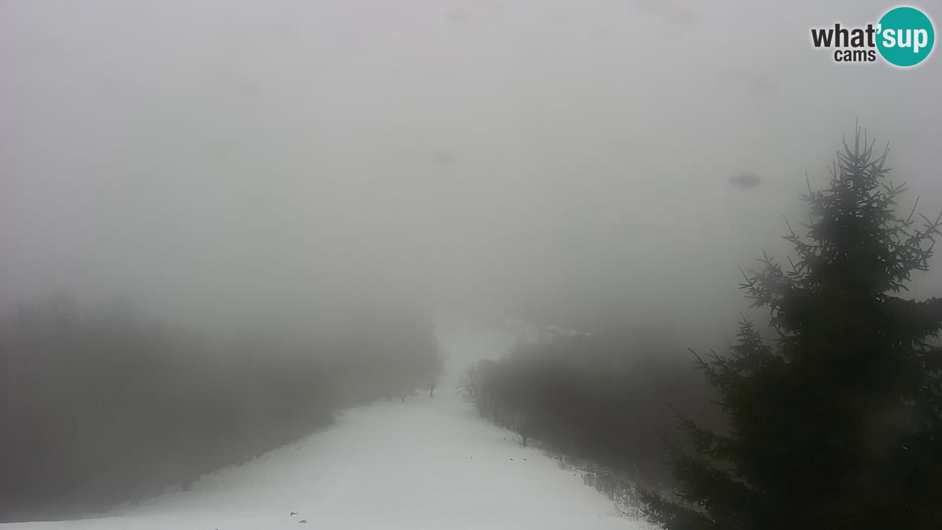 Web kamera Japetić – Jastrebarsko