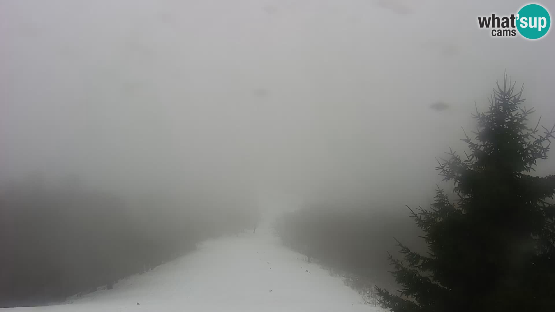 Livecam Japetić webcam Jastrebarsko