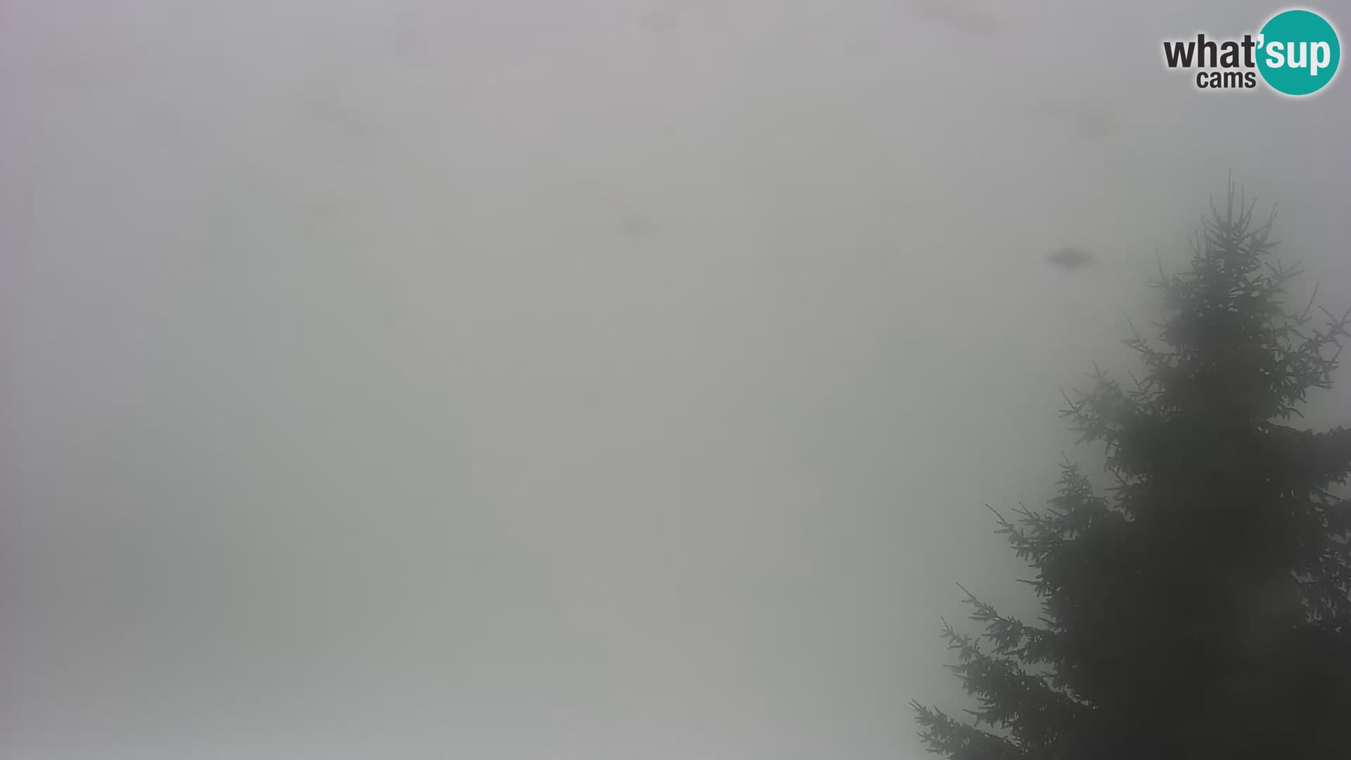 Web kamera Japetić – Jastrebarsko