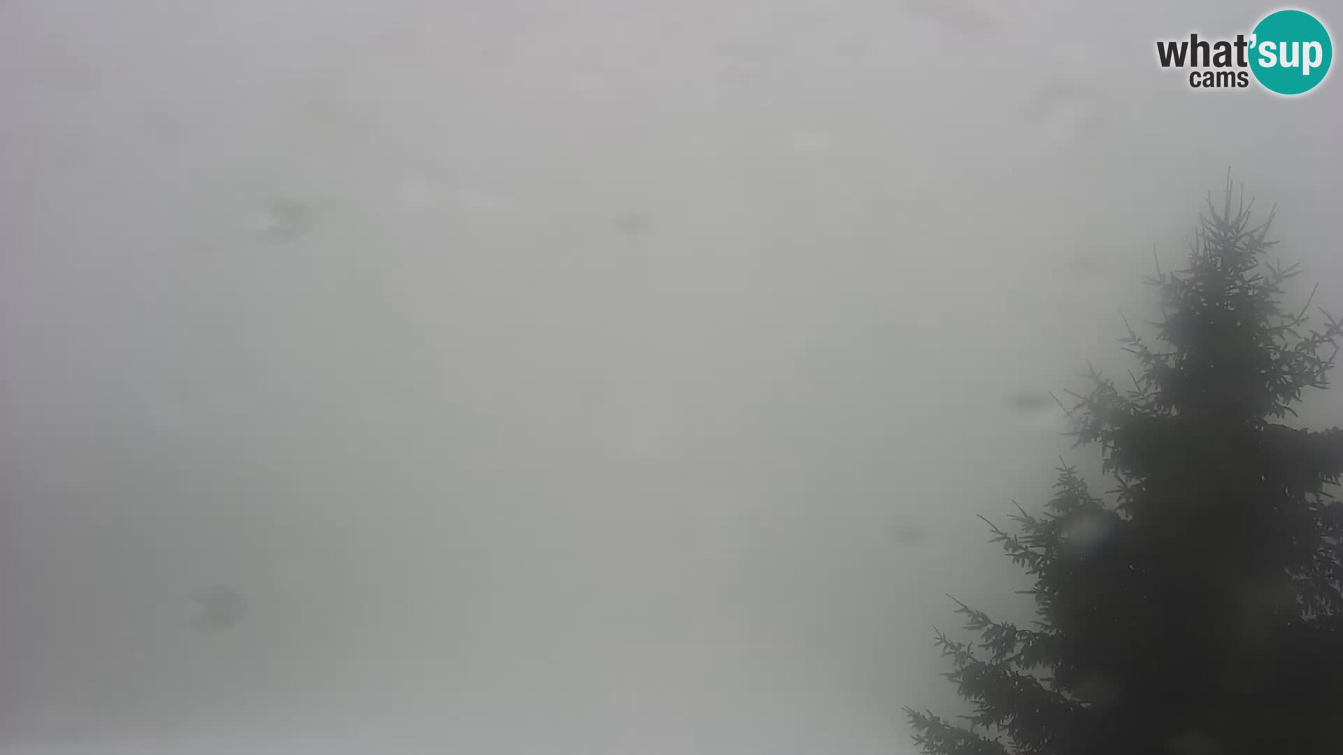 Web kamera Japetić – Jastrebarsko