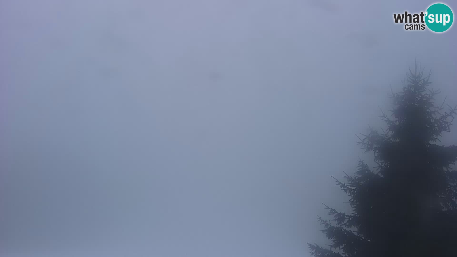 Livecam Japetić webcam Jastrebarsko