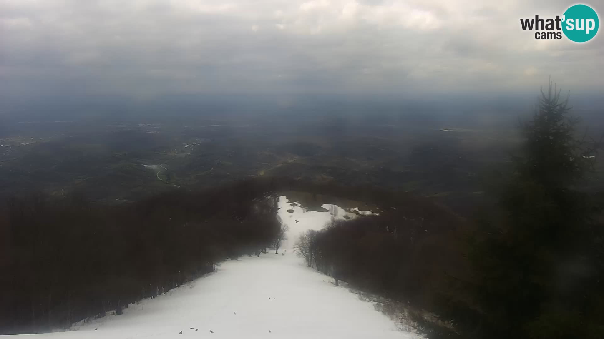 Camera en vivo Japetić – Jastrebarsko