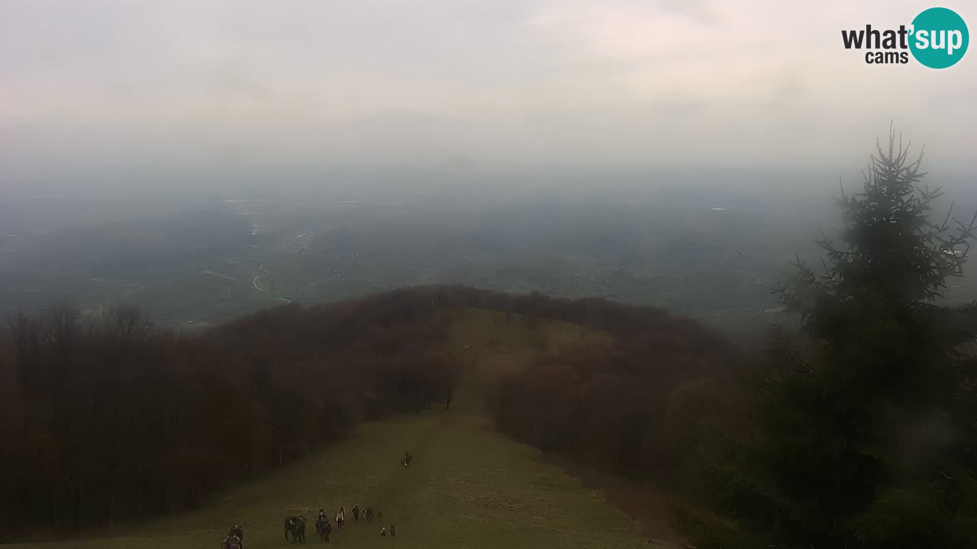 Live cam Japetić – Jastrebarsko