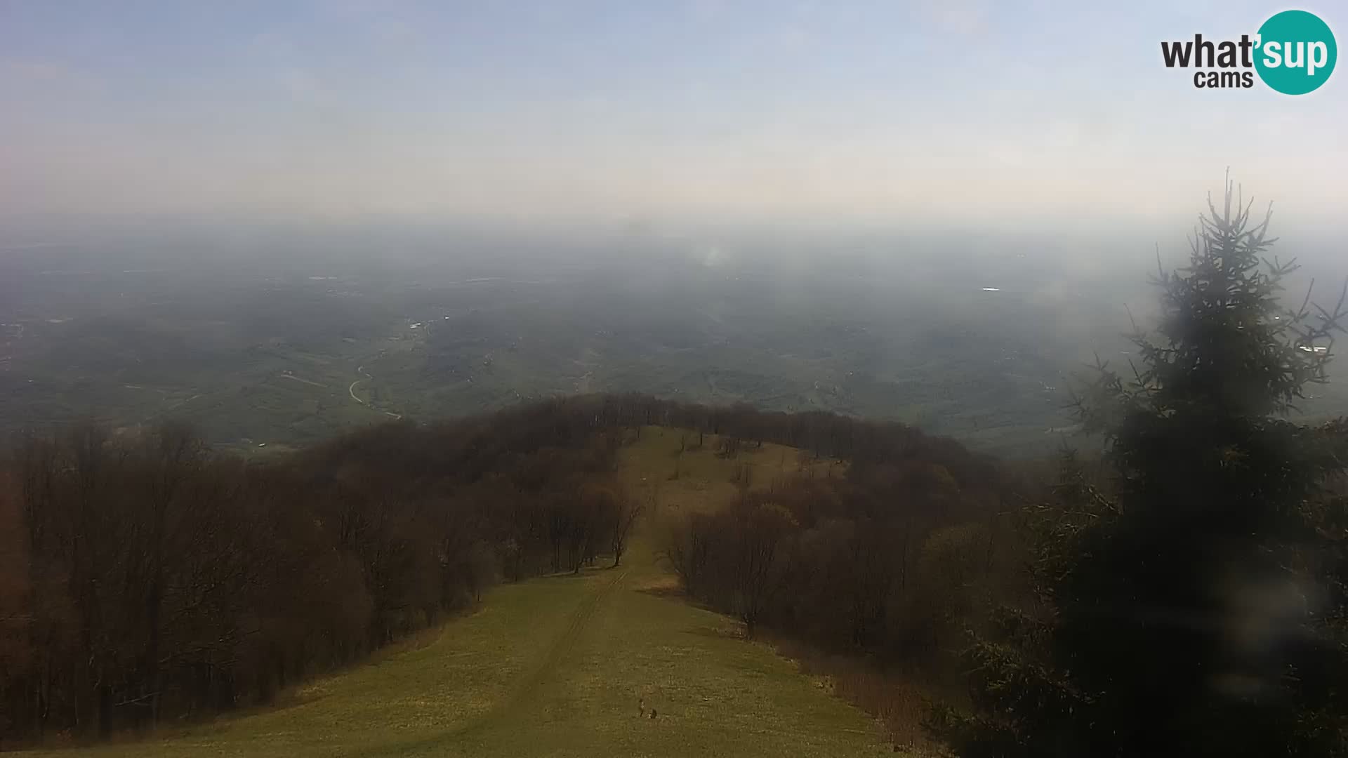 Live cam Japetić – Jastrebarsko