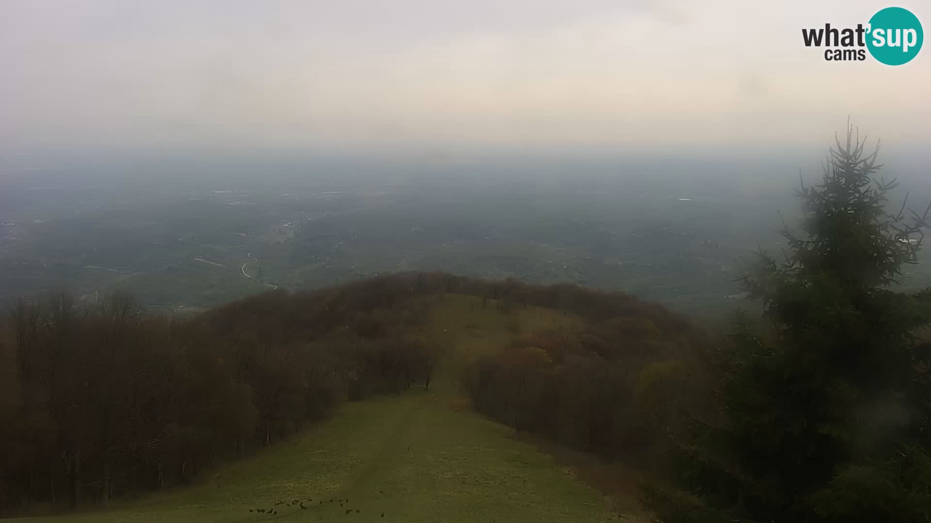 Web kamera Japetić – Jastrebarsko