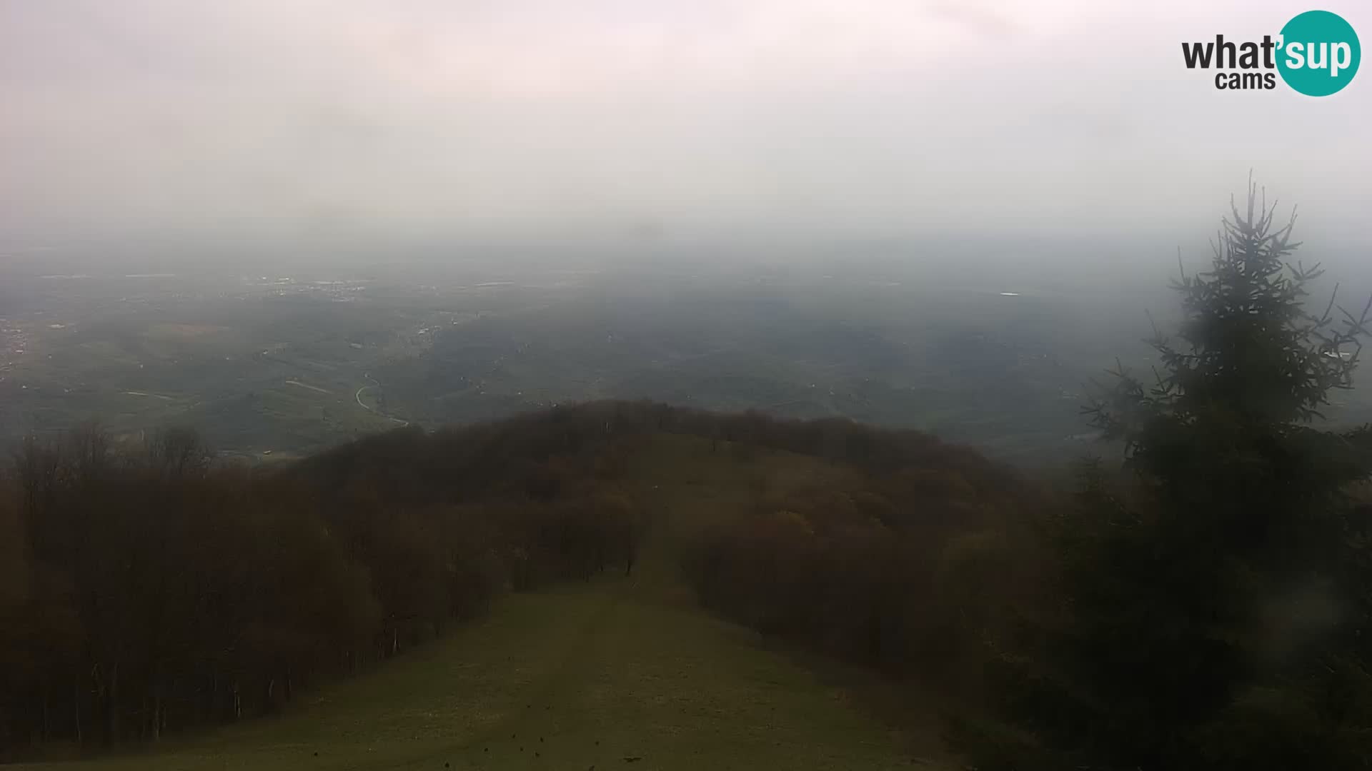 Web kamera Japetić – Jastrebarsko