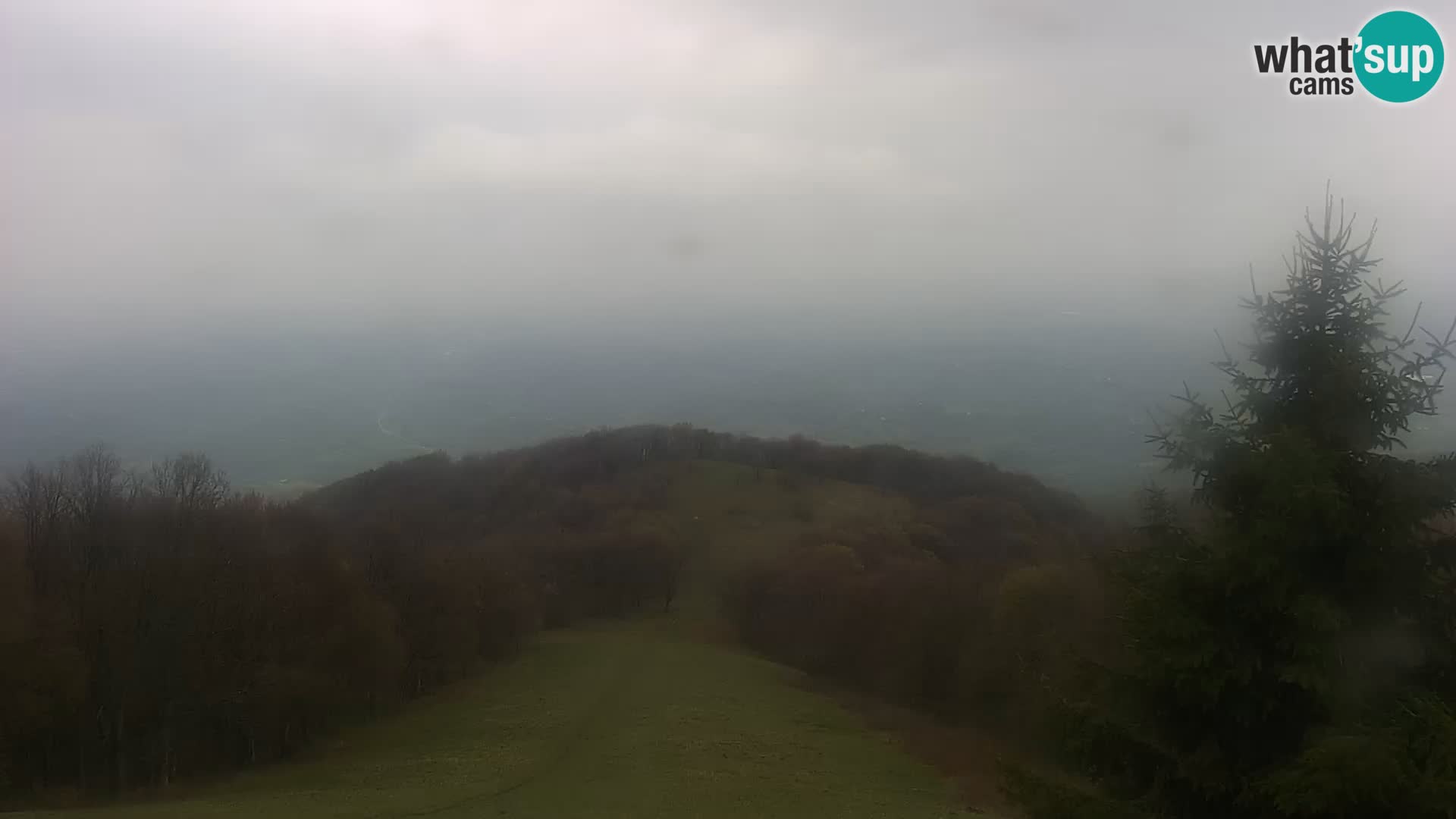 Live cam Japetić – Jastrebarsko