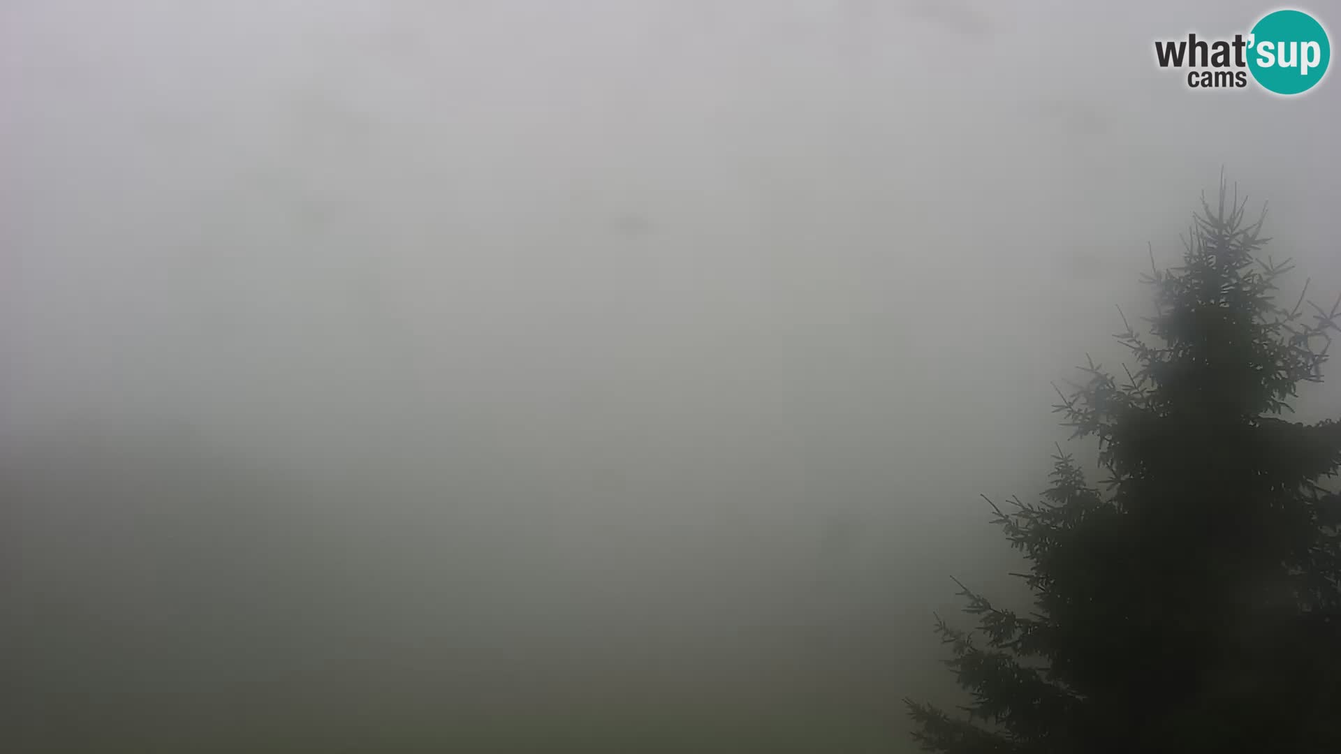 Webcam Japetić Live cam Jastrebarsko