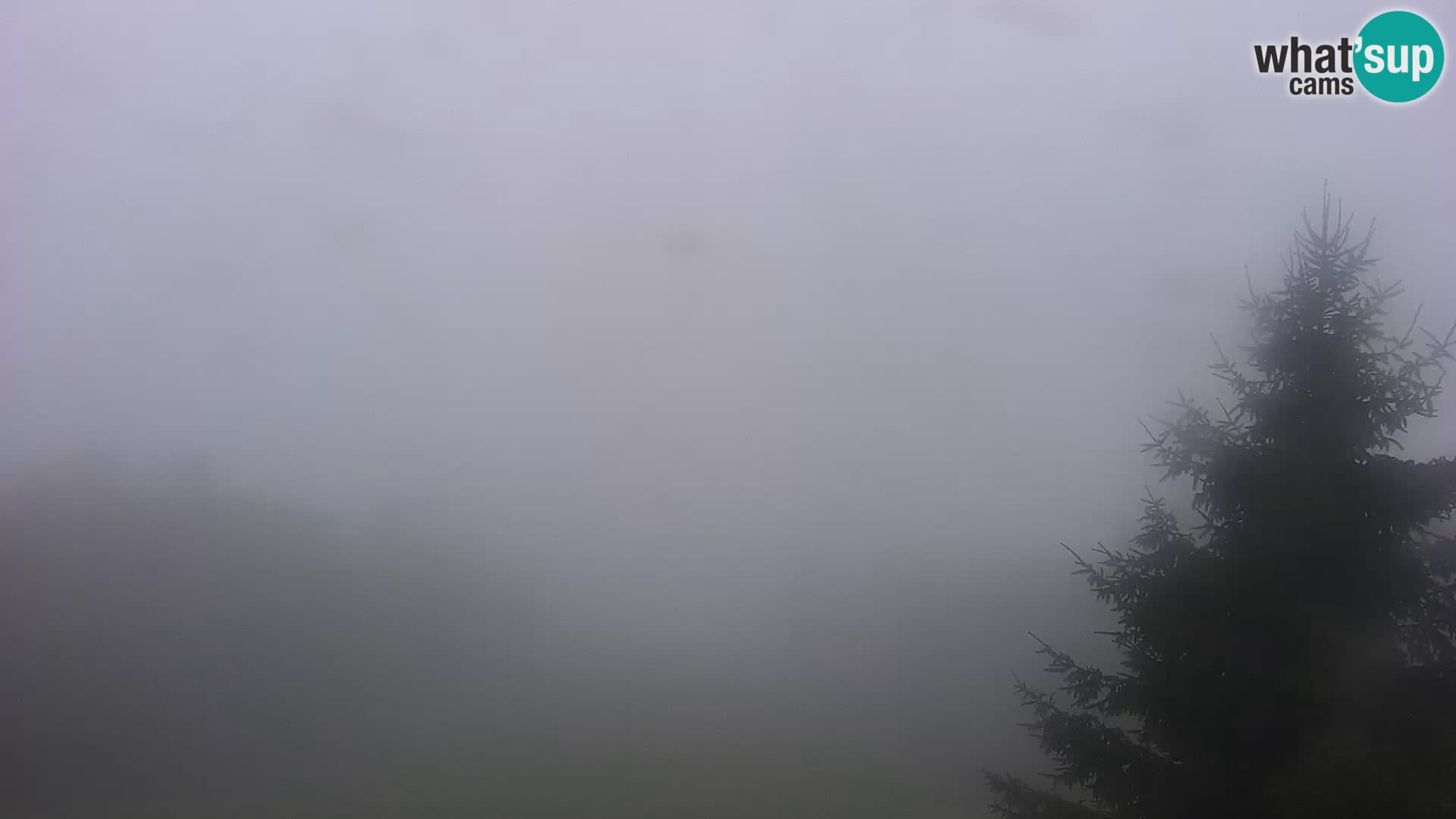 Live cam Japetić – Jastrebarsko