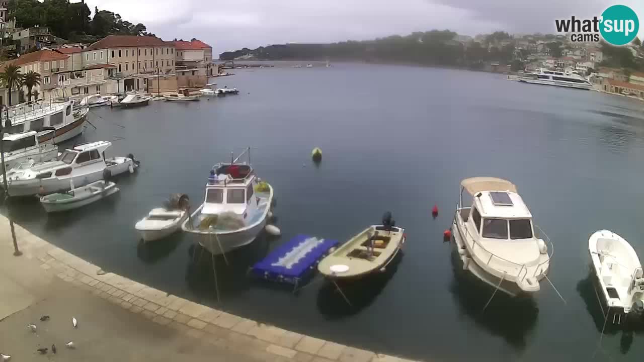 Gelsa (Jelsa) – isola di Lesina (Hvar)