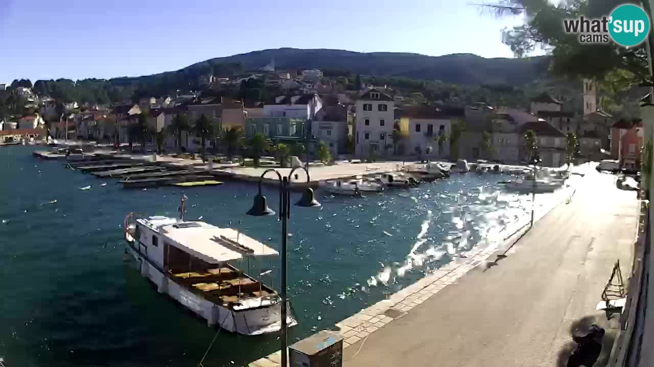 Camera en vivo Hvar – Jelsa