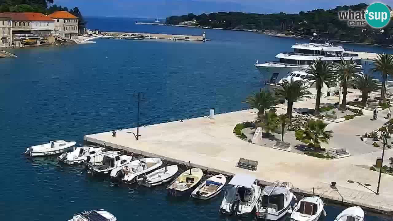 Jelsa vrtljiva spletna kamera otok Hvar – Dalmacija – Hrvaška