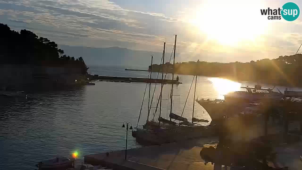 Jelsa Live Webcam motorized – Hvar island – Dalmatia – Croatia