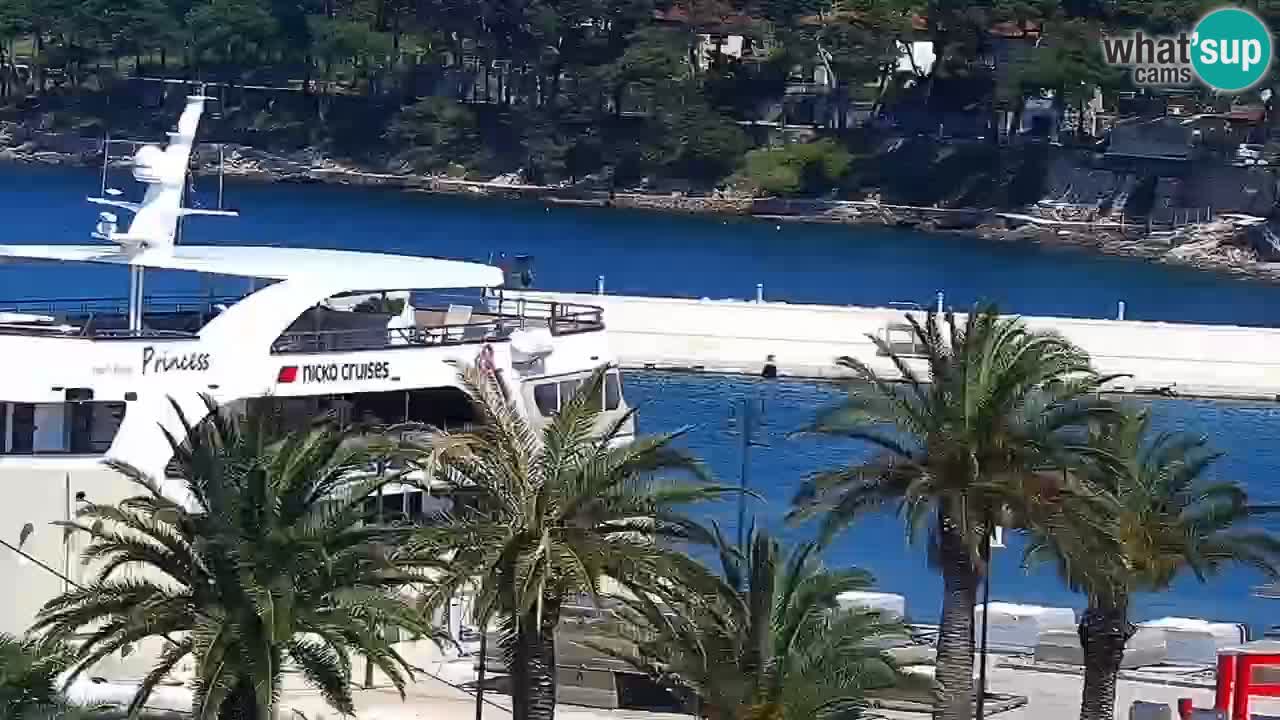 Jelsa Live Webcam motorized – Hvar island – Dalmatia – Croatia