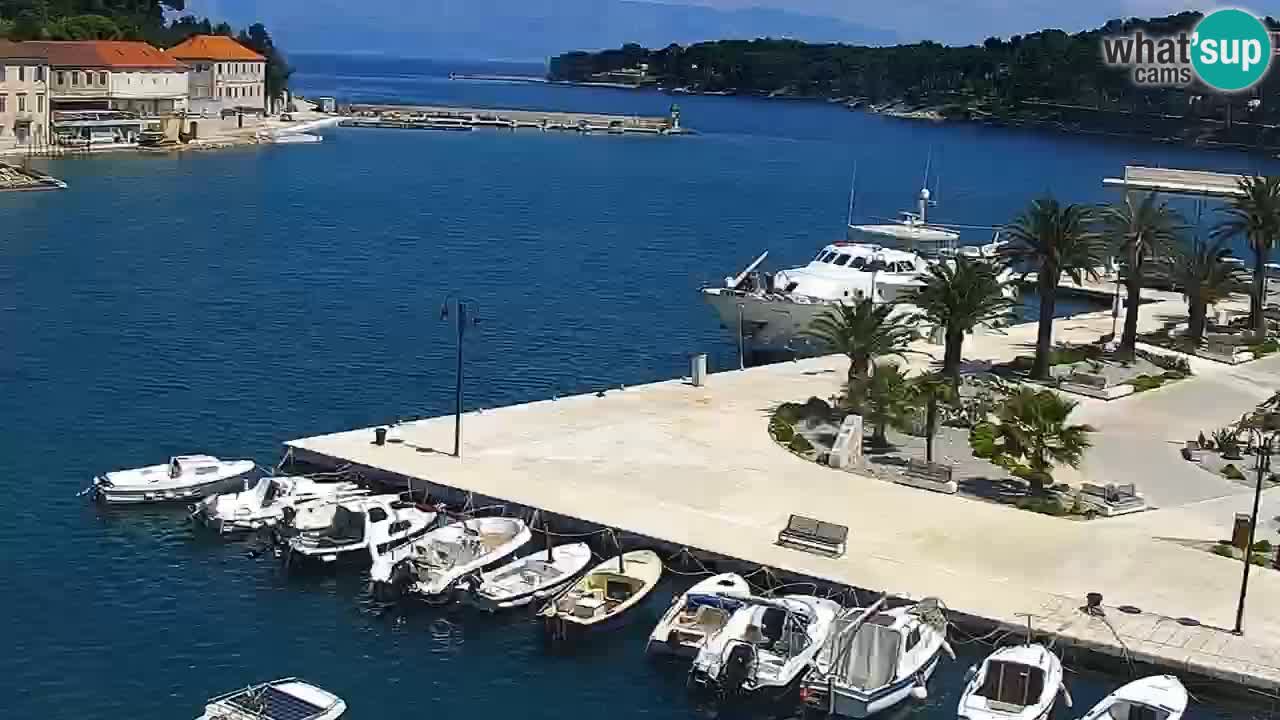 Jelsa Livecam Hvar