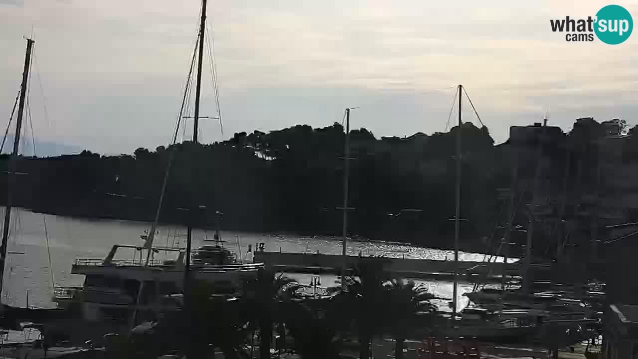 Jelsa Live Webcam motorizzata – Isola di Hvar – Dalmazia – Croazia