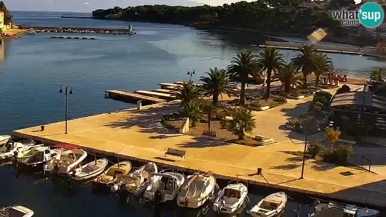 Jelsa Live Webcam motorizzata – Isola di Hvar – Dalmazia – Croazia