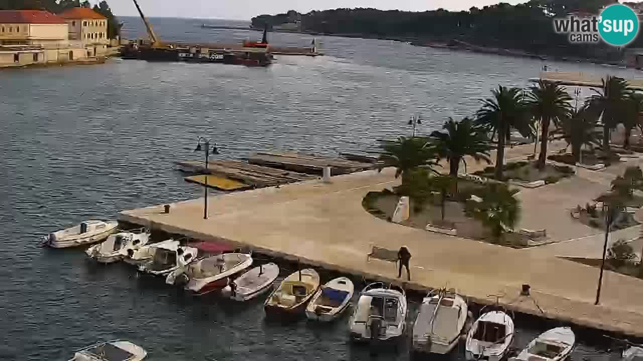 Jelsa Live Webcam motorizzata – Isola di Hvar – Dalmazia – Croazia