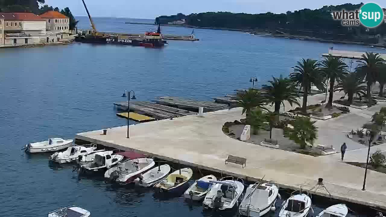 Jelsa motorizirana web kamera – otok Hvar – Dalmacija