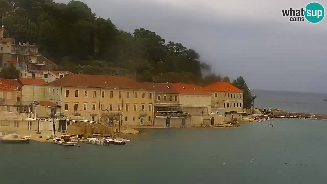 Jelsa camera en vivo – Isla de Hvar – Dalmacia – Croacia