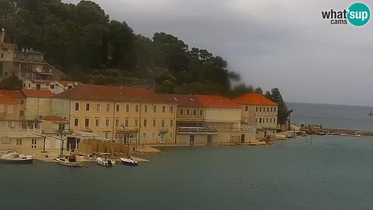 Jelsa vrtljiva spletna kamera otok Hvar – Dalmacija – Hrvaška