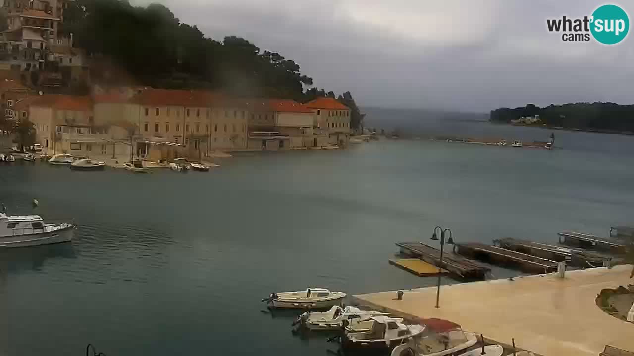 Jelsa camera en vivo Hvar isla