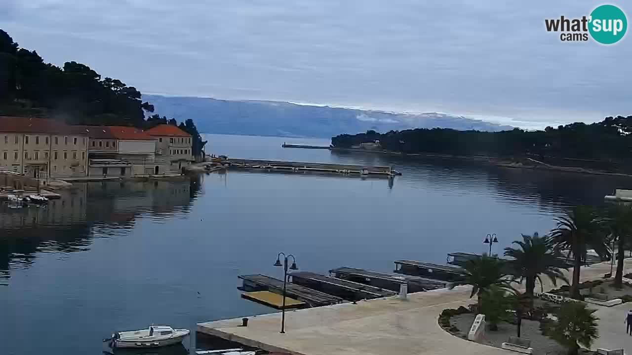 Jelsa camera en vivo Hvar isla