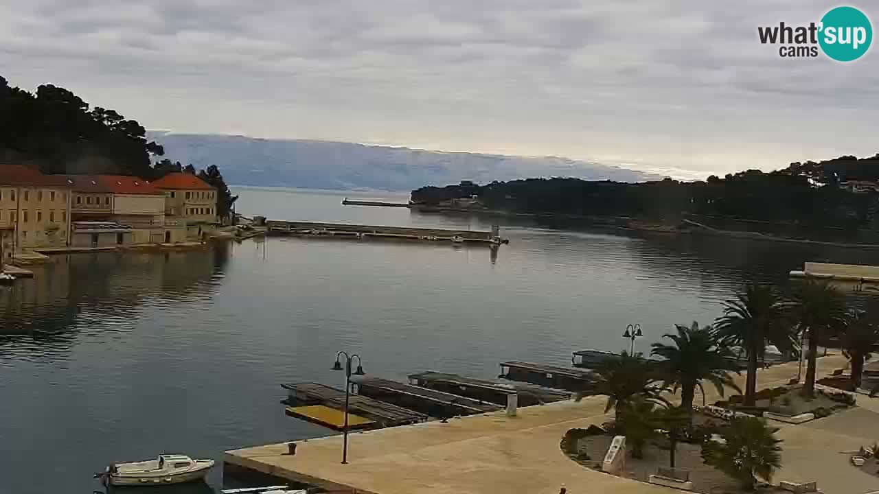 Gelsa webcam Lesina isola