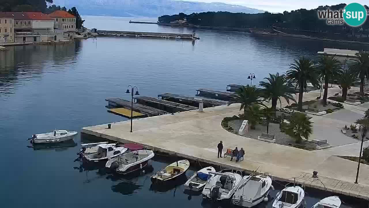 Jelsa web kamera Hvar otok