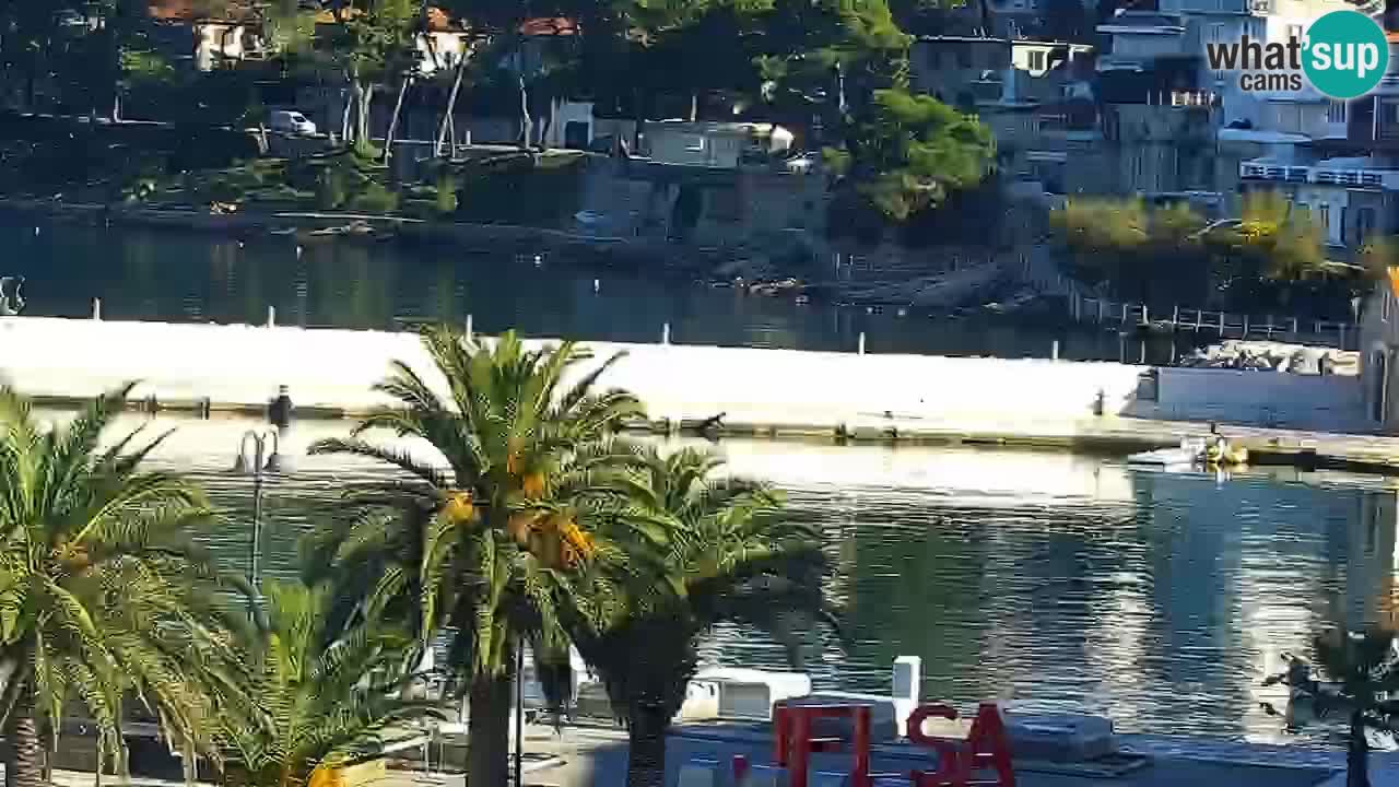 Jelsa web kamera Hvar otok