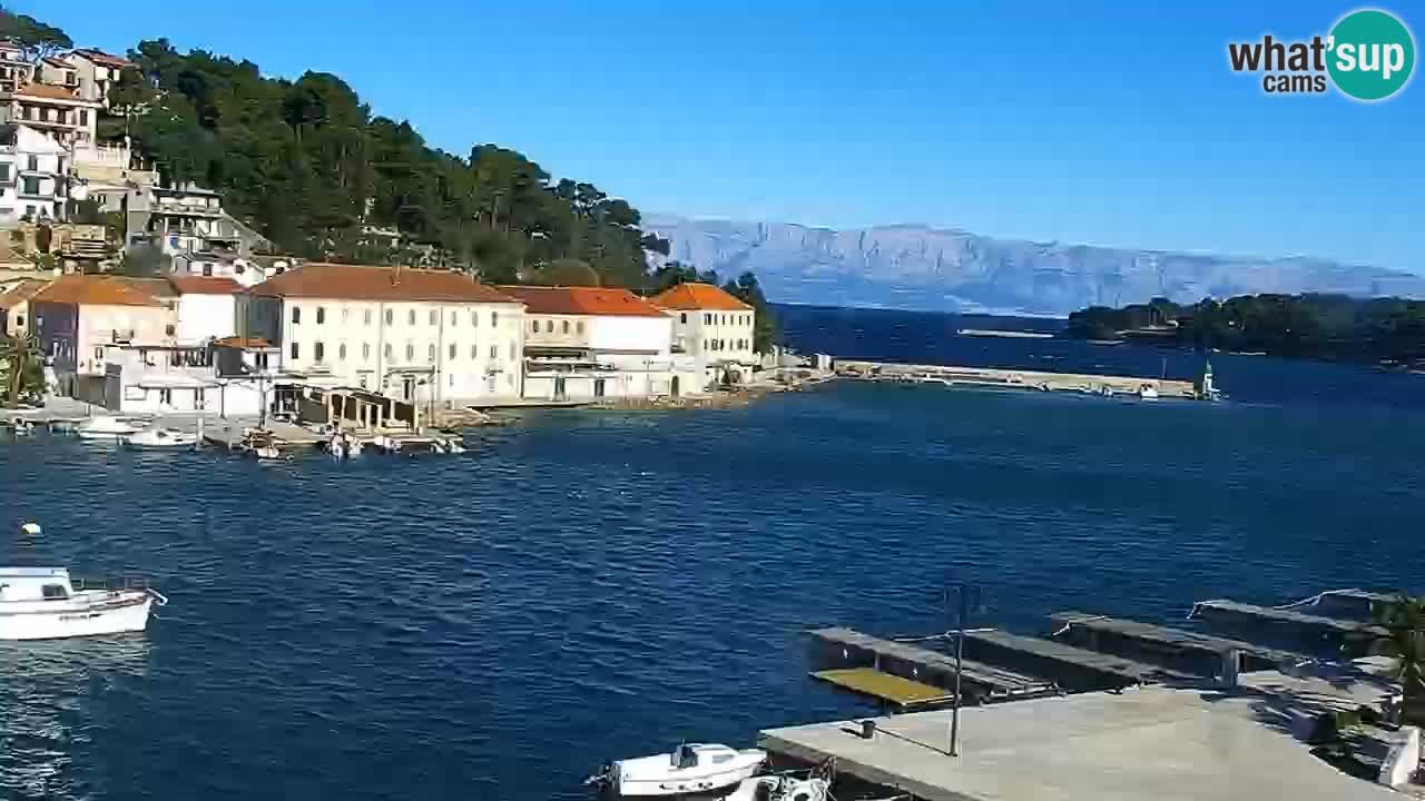 Jelsa Live Webcam motorizzata – Isola di Hvar – Dalmazia – Croazia