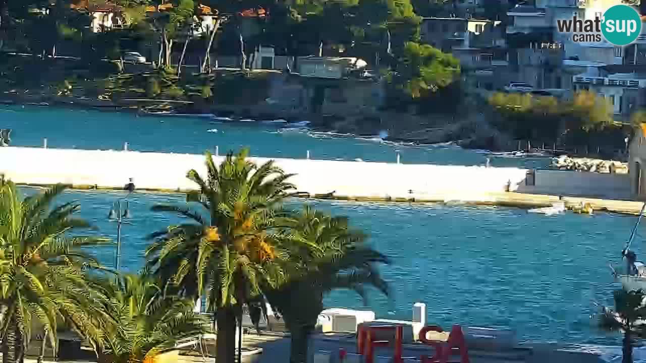 Jelsa camera en vivo Hvar isla