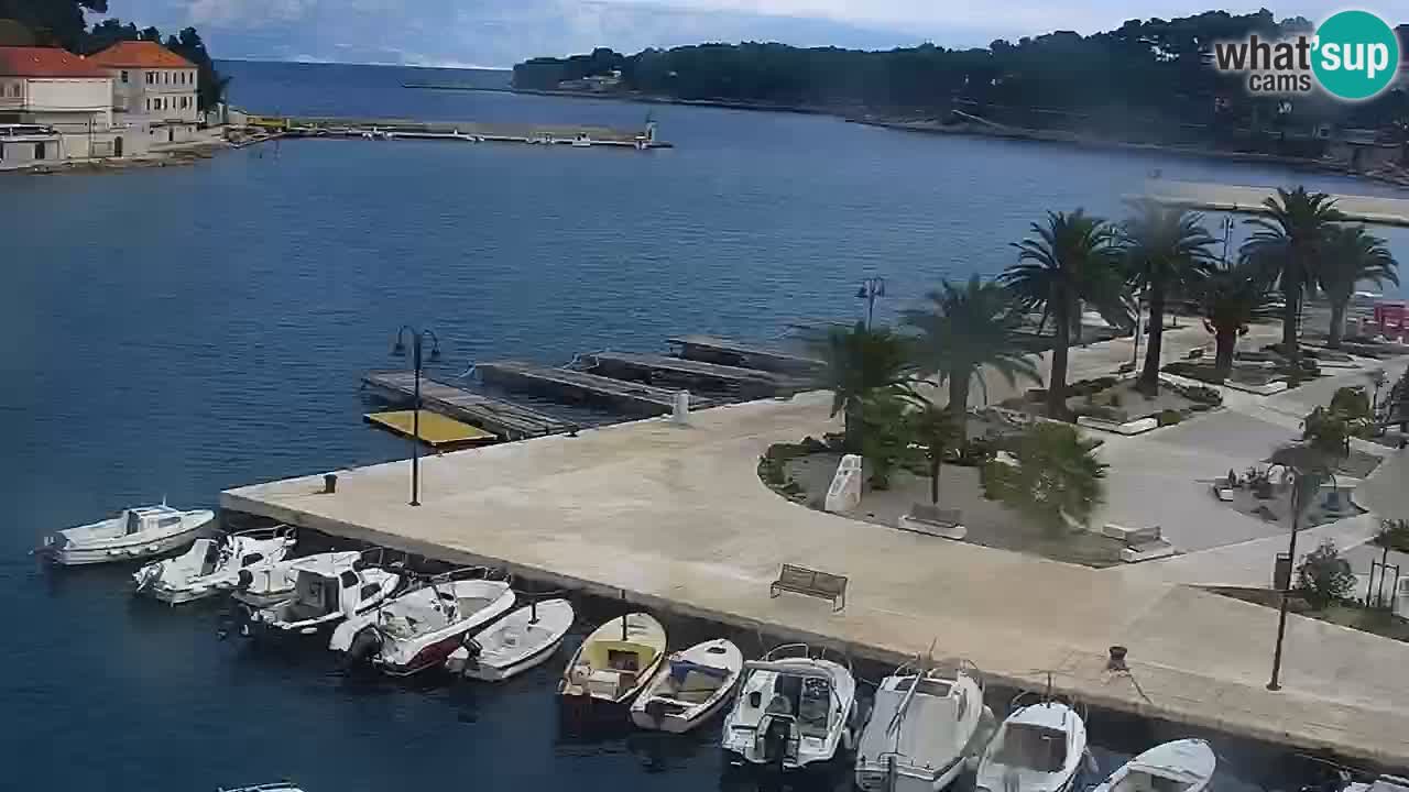 Jelsa vrtljiva spletna kamera otok Hvar – Dalmacija – Hrvaška