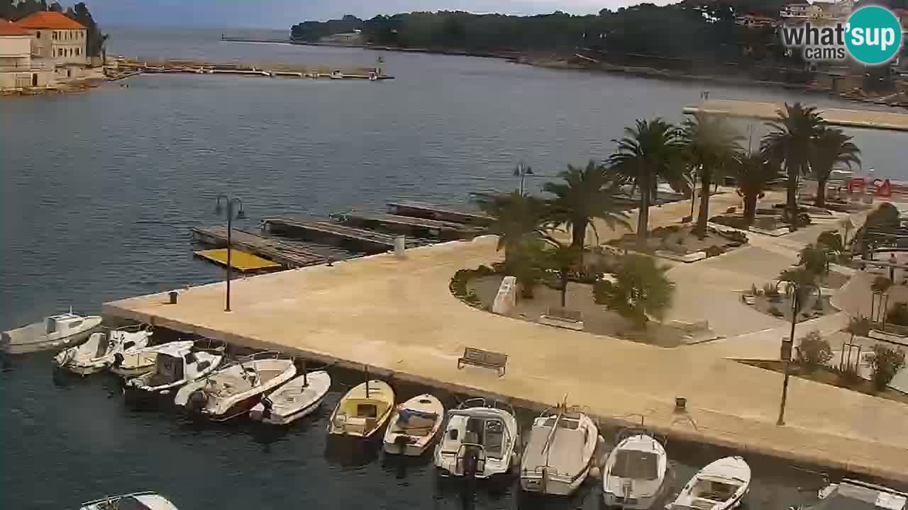 Jelsa camera en vivo Hvar isla