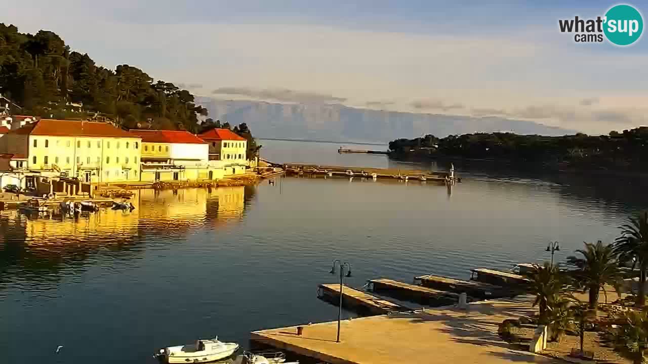 Jelsa Live Webcam motorizzata – Isola di Hvar – Dalmazia – Croazia