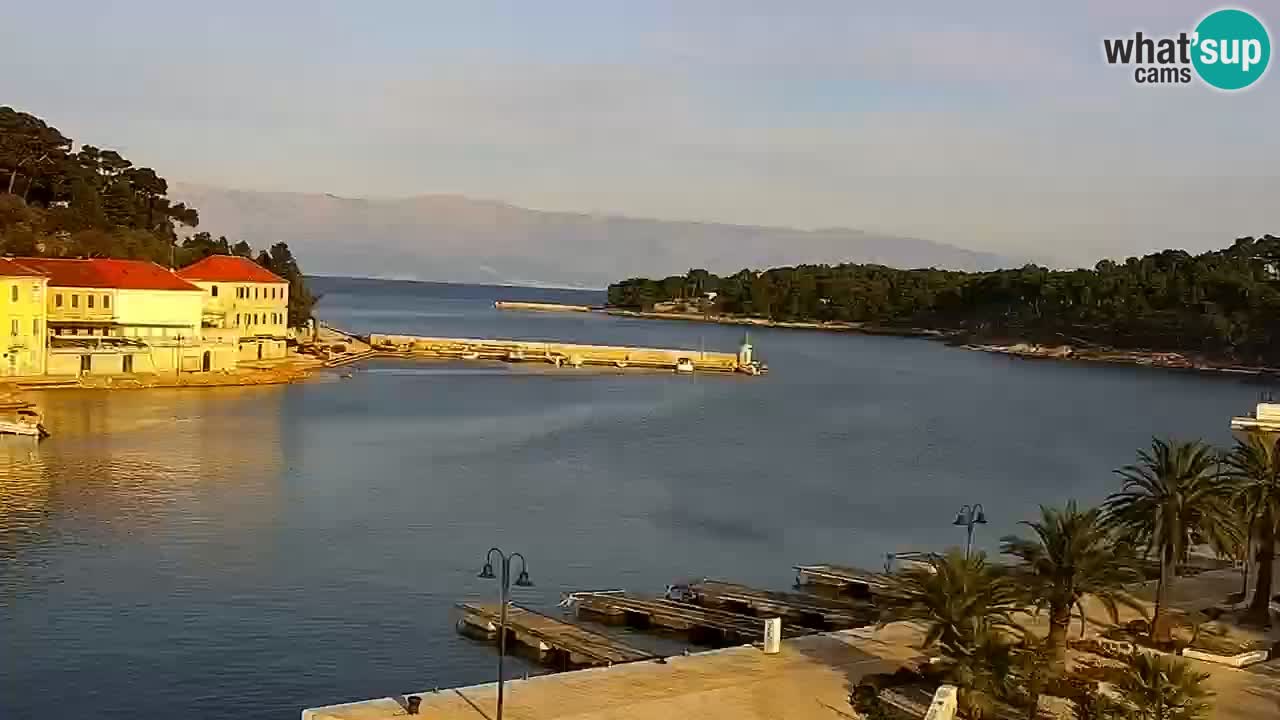 Jelsa camera en vivo – Isla de Hvar – Dalmacia – Croacia