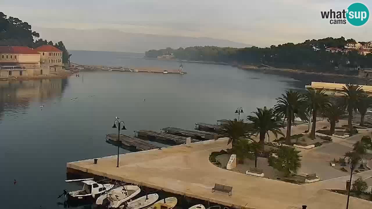 Jelsa Live Webcam motorizzata – Isola di Hvar – Dalmazia – Croazia