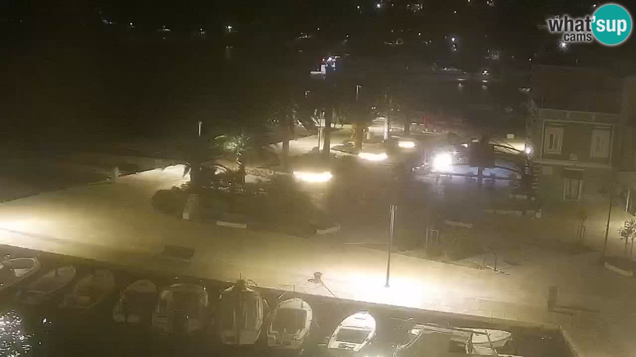 Jelsa Livecam Hvar