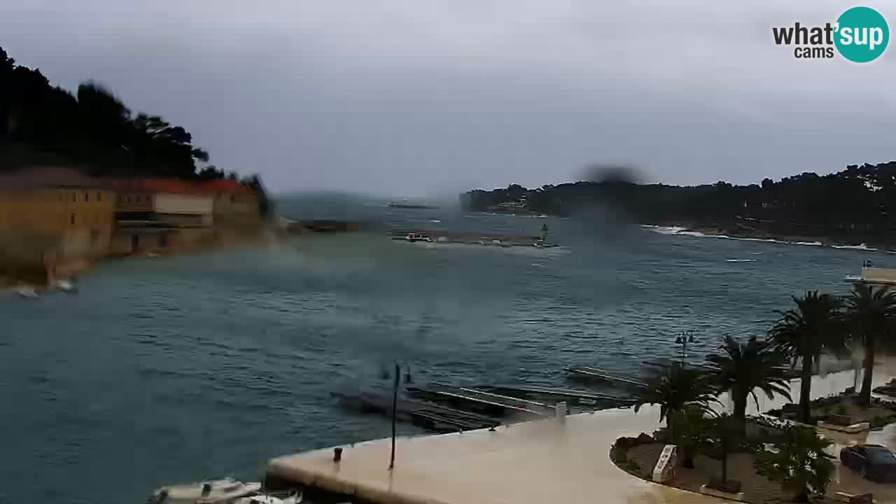 Webcam Jelsa Live motorisée – île de Hvar – Dalmatie – Croatie