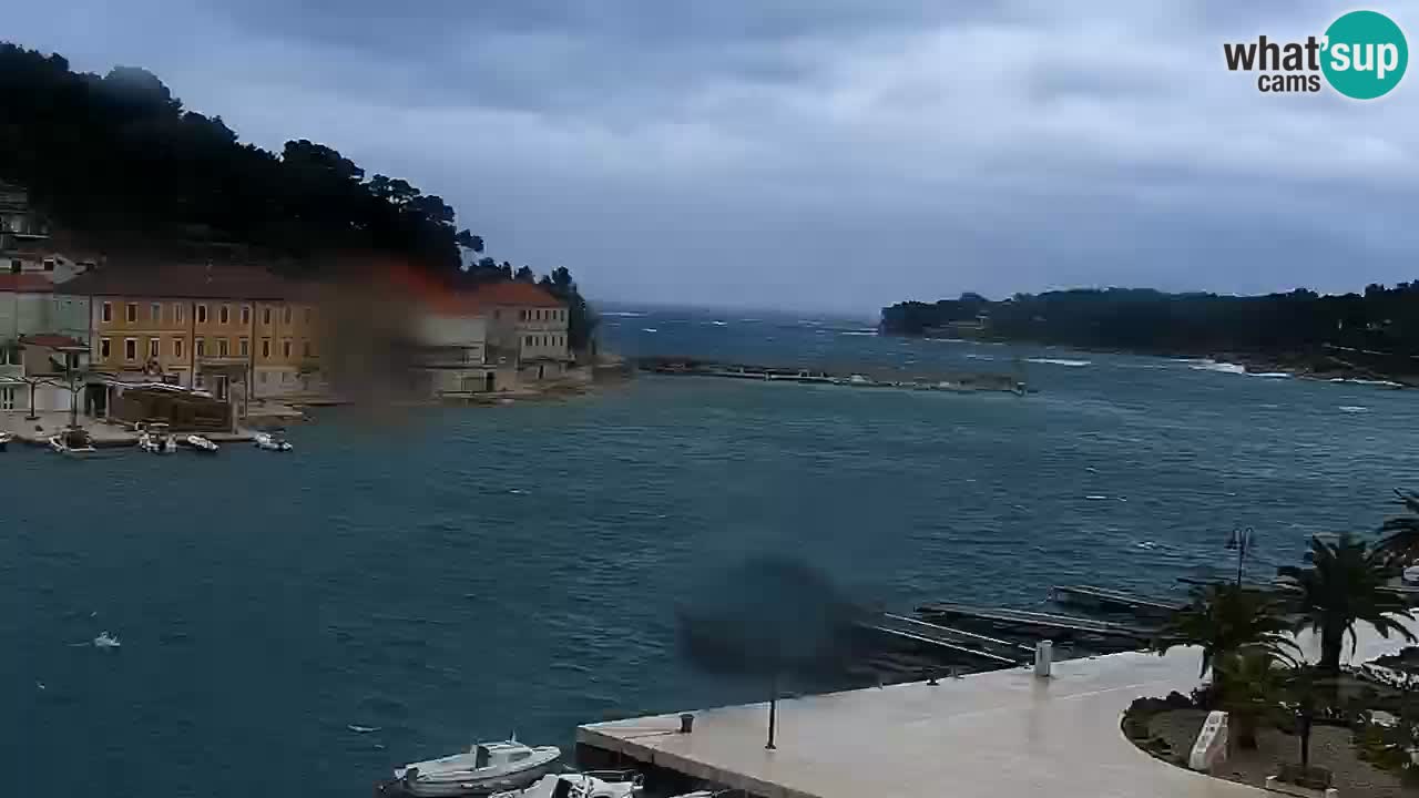 Webcam Jelsa Live motorisée – île de Hvar – Dalmatie – Croatie