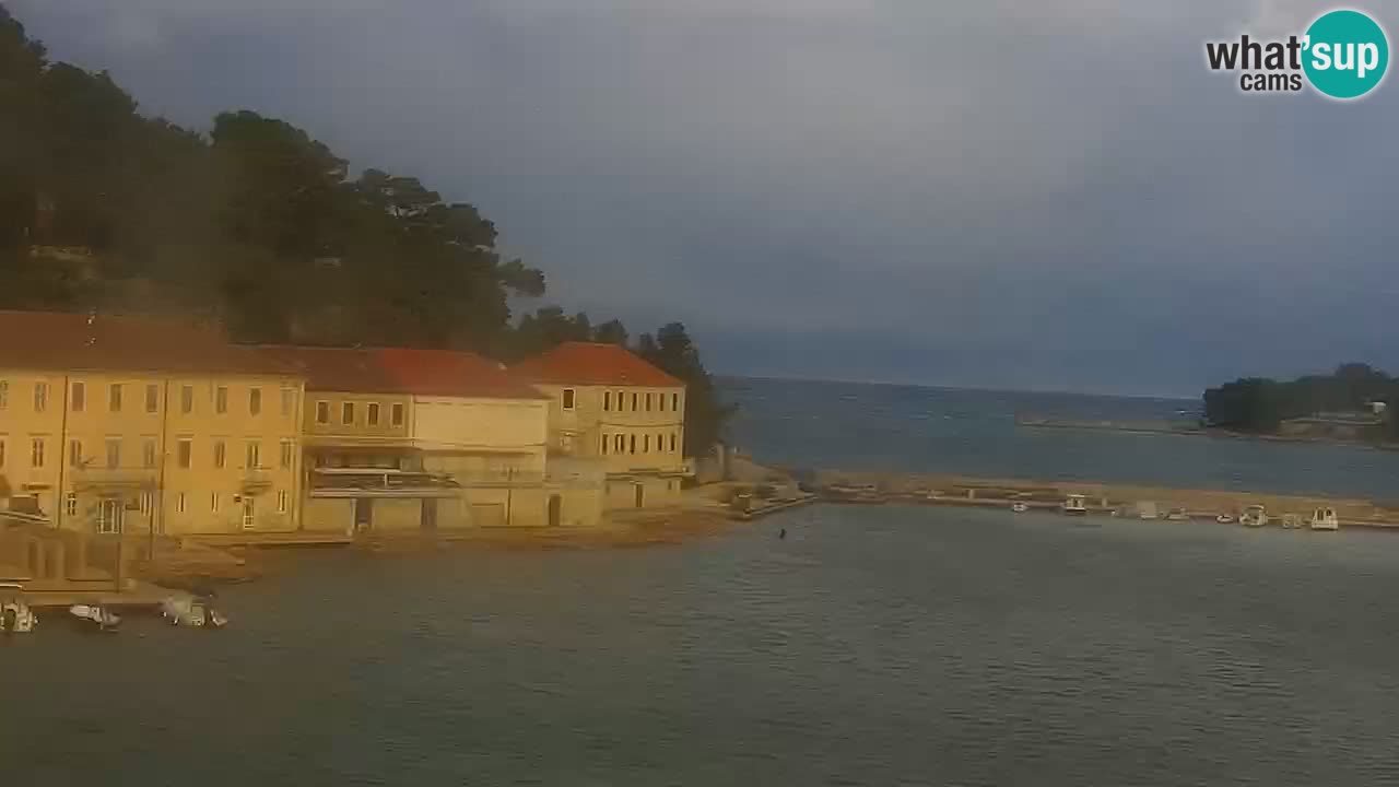 Jelsa Live Webcam motorizzata – Isola di Hvar – Dalmazia – Croazia