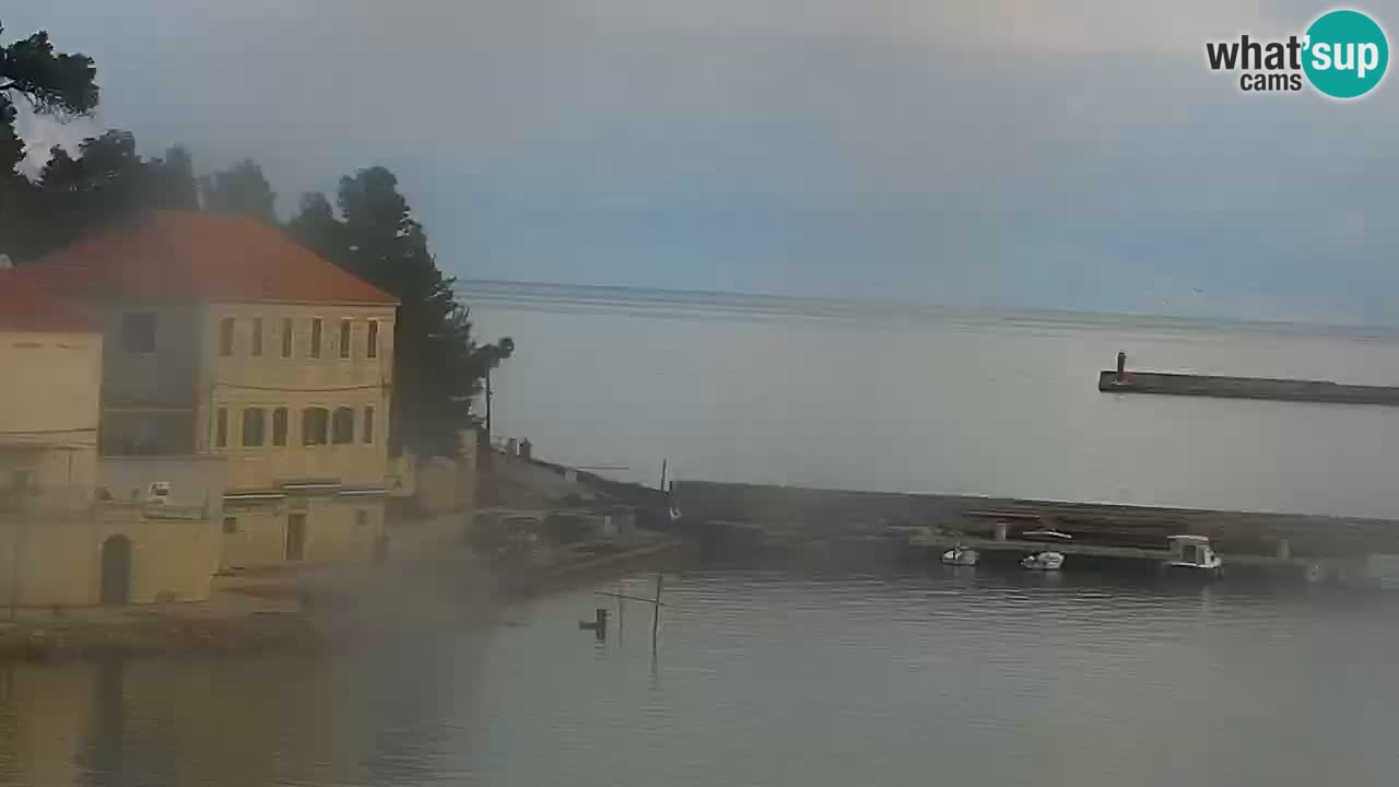 Jelsa camera en vivo Hvar isla